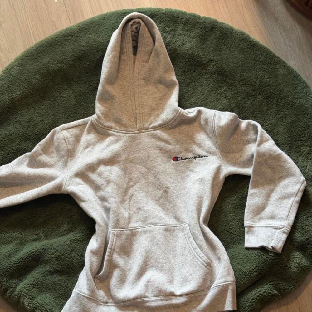 Champion Men's Grey Hoodie